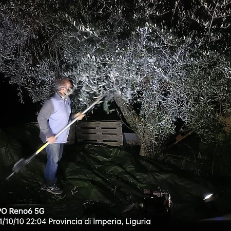 Agriturismo Monaci Templari Seborga Prensliği Dış mekan fotoğraf