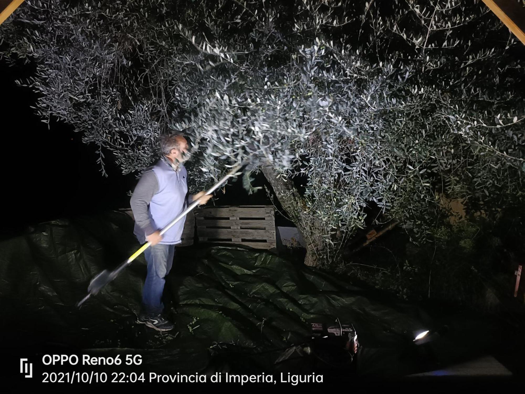Agriturismo Monaci Templari Seborga Prensliği Dış mekan fotoğraf