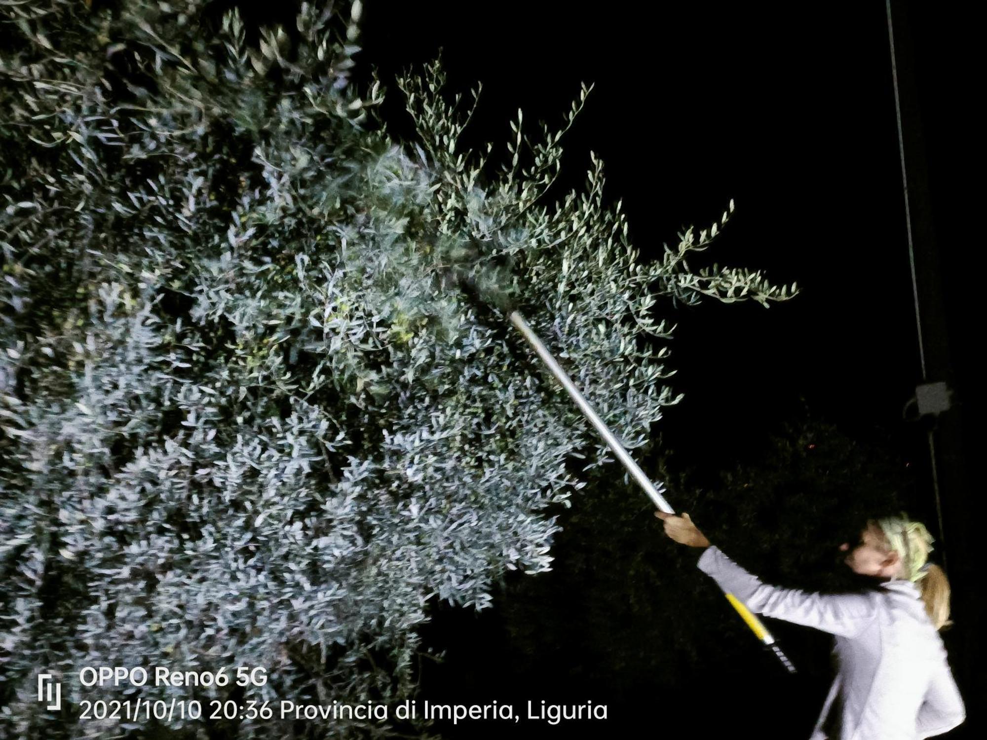 Agriturismo Monaci Templari Seborga Prensliği Dış mekan fotoğraf