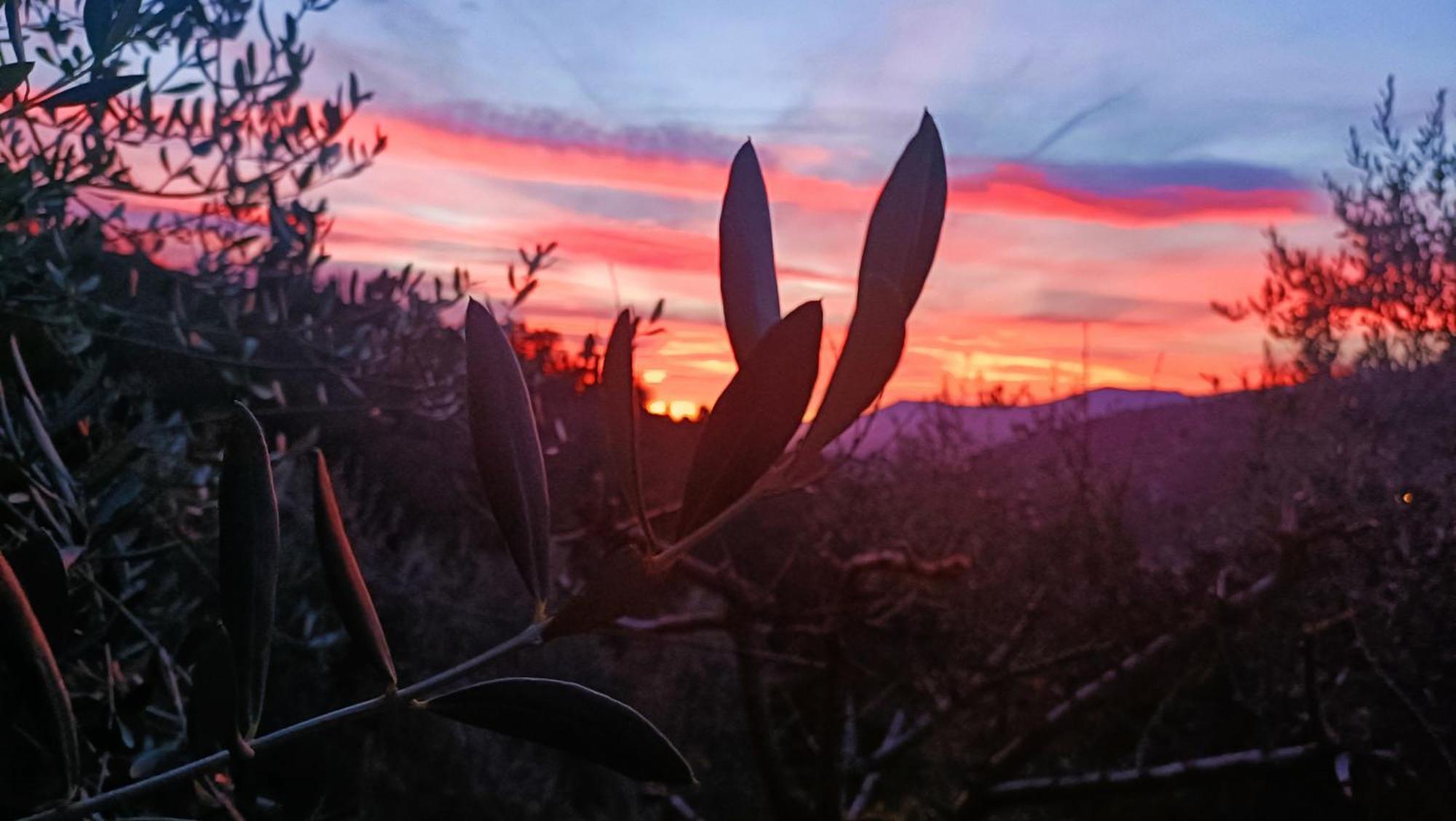 Agriturismo Monaci Templari Seborga Prensliği Dış mekan fotoğraf